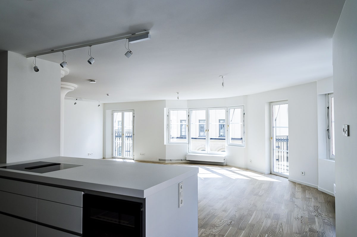 Livingroom and kitchen